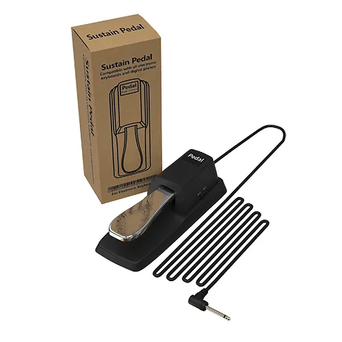 EWI S60 Electronic Wind Instrument