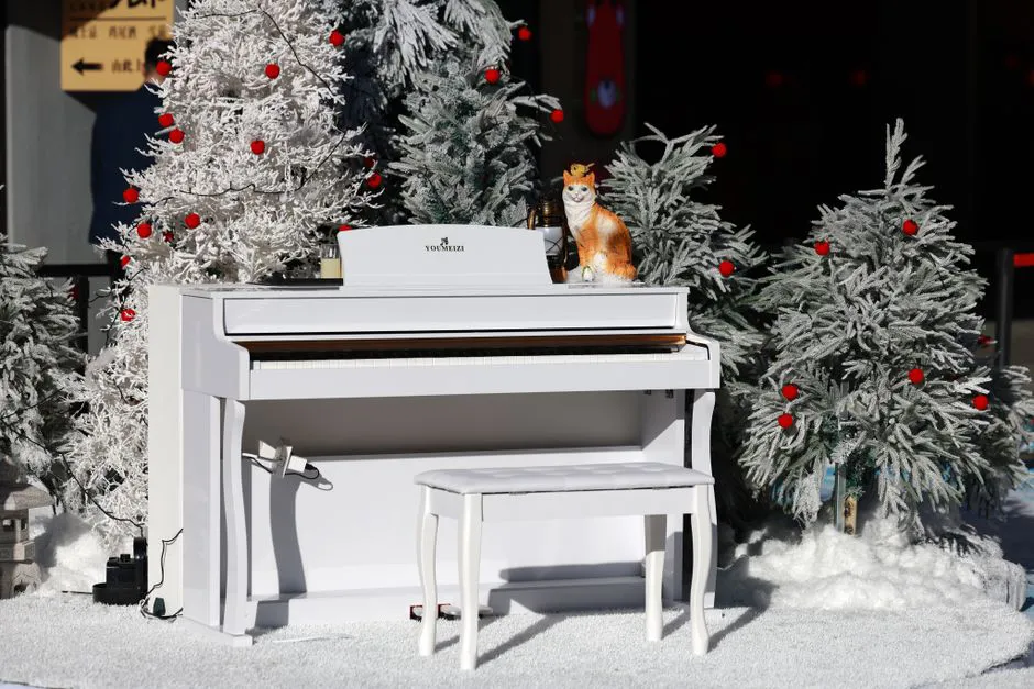 Bora Piano